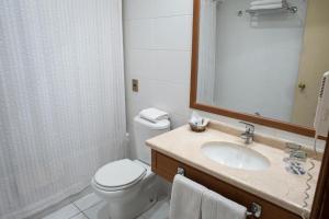 a bathroom with a toilet and a sink and a mirror at Gran Hotel Isabel Riquelme in Chillán
