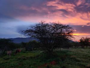 Paisaje cerca de este tented camp