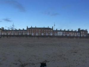 a dog standing in front of a large building at Moray Beachside Apartments in Lowestoft