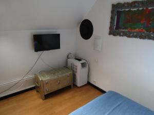 Televízia a/alebo spoločenská miestnosť v ubytovaní Au Nid du Thil