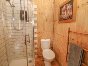 a bathroom with a toilet and a shower at Bramley Orchard Glamping in Retford