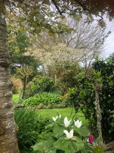 a garden with white flowers and trees at Southland Organic Farmstay in Invercargill
