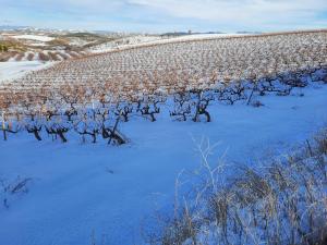 un campo de cultivos con nieve en el suelo en VEN GAVINO en Ibdes