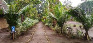 Gallery image of Shipati Lodge in Puerto Misahuallí