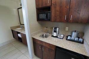 uma cozinha com um lavatório e um micro-ondas em Creekside Hotel & Suites em Canyonville