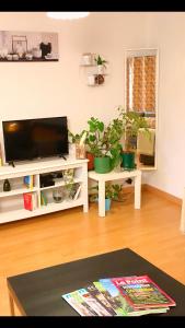 アプトにあるAppartement en plein centre villeの鉢植えの植物と薄型テレビ付きのリビングルーム