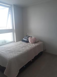 1 dormitorio con cama con almohada y ventana en Pacifico 802, en Arica