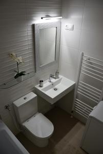 エゲルにあるHoliday Home & Apartmentのバスルーム(トイレ、洗面台、鏡付)