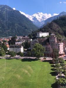a city with a green field and mountains in the background at Apartment Lala in Interlaken