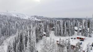 Chalets UkkoHerra 1 & 2 talvella