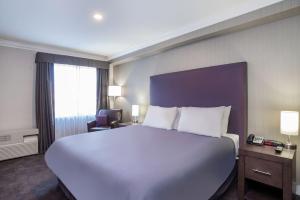 Gallery image of Sandman Hotel and Suites Abbotsford in Abbotsford