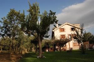 a large white house with a tree in the yard at La Galamperna in Nava del Barco
