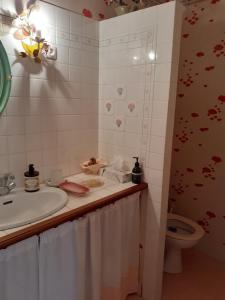 a bathroom with a sink and a toilet at La PASTORALE in La Puisaye