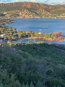 une île au milieu d'une masse d'eau dans l'établissement Roches d’azur, à Saint-Raphaël