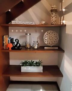 a shelf in a room with some plants on it at Flat 14 Pipa in Pipa
