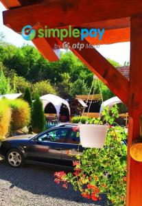 a car parked in a driveway with a potted plant at Harmony Vendégház Egerszalók in Egerszalók