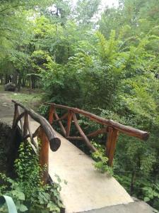 un pont en bois dans un parc arboré dans l'établissement CABAÑA.Manzano histórico. Paz y montaña, à Tunuyán