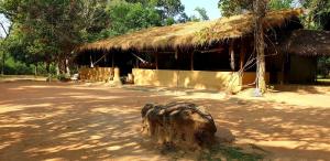 a hut with a tree stump in front of it at Kamatha Eco Lodge in Habarana