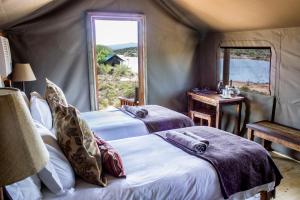 Postel nebo postele na pokoji v ubytování Buffelsdrift Game Lodge + 37 fotografií