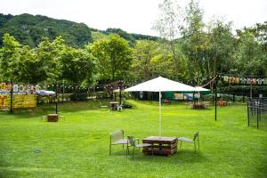 Gallery image of Sono Pet Clubs & Resorts Vivaldi Park in Hongcheon