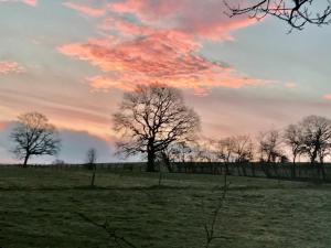 Paesaggio naturale nelle vicinanze del bed & breakfast