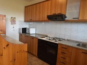 Kuchyň nebo kuchyňský kout v ubytování Apartment in Labin near the Beach