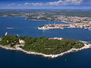 Příroda nedaleko apartmánu