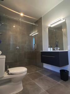 a bathroom with a toilet and a glass shower at ValleyView Wanaka in Wanaka