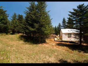 Tentrr Signature Site - The Wampanoag Site at Hilltop Tree Farm