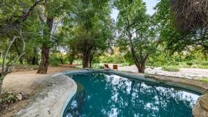 a swimming pool in a yard with trees at Umlani Bushcamp in Timbavati Game Reserve