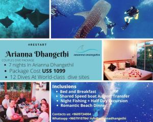 Fotografie z fotogalerie ubytování Arianna Dhangethi v destinaci Dhangethi