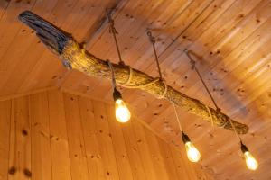 Fotografia z galérie ubytovania Camping und Chalet Saggraben v destinácii Palfau