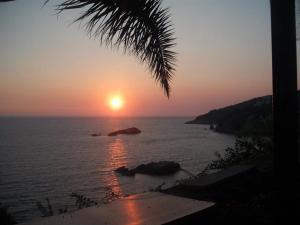 a sunset over the ocean with a palm tree at Apartments Zuto in Ulcinj