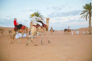 Gjester på Sama al Wasil Desert Camp