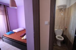 een kamer met een bed, een toilet en een badkamer bij Cozy apartment in Greece in Flogita
