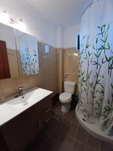 uma casa de banho com um lavatório, um WC e uma cortina de chuveiro. em Splish Splash Apartments em Arillas