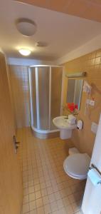 Koupelna v ubytování Hotel Děvín