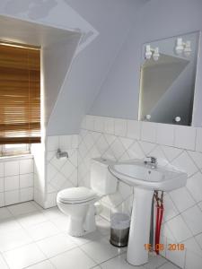 a white bathroom with a toilet and a sink at Les Gîtes du Mont Suzey in Yvoy-le-Marron