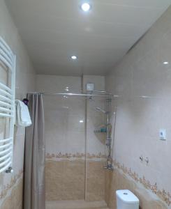 La salle de bains est pourvue d'une douche et de toilettes. dans l'établissement Hotel White Mountains • თეთრი მთები, à Mestia