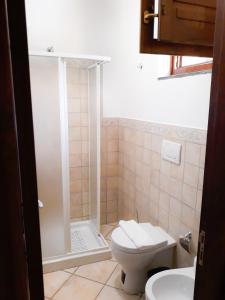 a small bathroom with a toilet and a shower at Residence Gregory Filicudi in Filicudi +37 photos