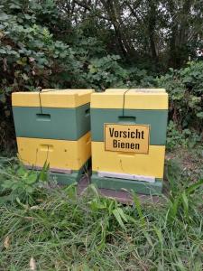 two boxes sitting next to each other in the grass at Ferienwohnung Wiesenweg in Bad Bederkesa