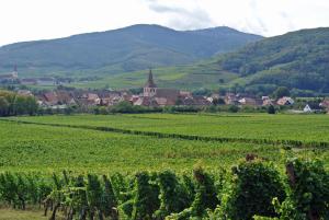 a village in the middle of a green field at La Maison Bleue in Kientzheim