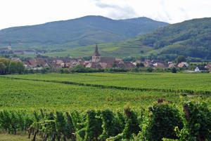 Imagen de la galería de La Maison Bleue, en Kientzheim