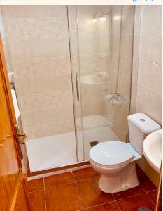 a bathroom with a shower and a toilet and a sink at Apartamento La Real 1 in La Aldea de San Nicolas