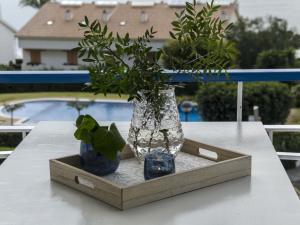 a vase and two plants sitting on a table at Sitges Spaces Sea View Paradise- 2 Bedrooms, 2 Bathrooms, Terrace, Amazing Sea Views in Sitges