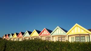 a row of colorful houses on top of a hedge at Penn House Hotel in Weymouth