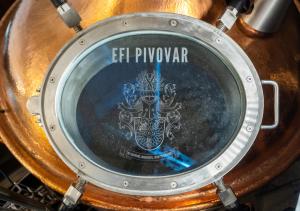 Foto sihtkohas Brno asuva majutusasutuse EFI SPA Hotel Superior & Pivovar galeriist