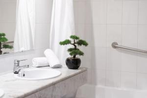 baño con lavabo, espejo y planta en Club Hotel Aguamarina, en Arenal d'en Castell