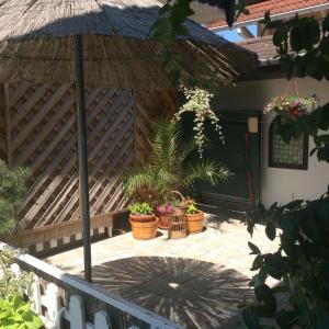 a wooden fence with potted plants on a patio at Gyöngyi Apartman in Hévíz