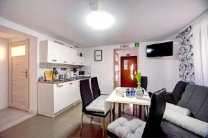 Kuchnia lub aneks kuchenny w obiekcie Apartamenty Bieszczady